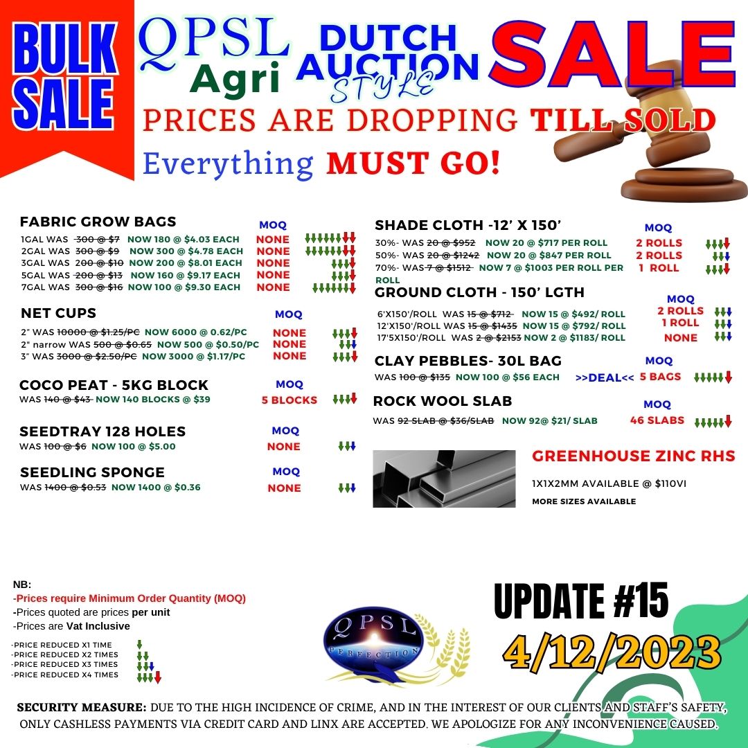 Dutch Auction - Update #15